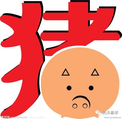 1963年属兔的是什么命