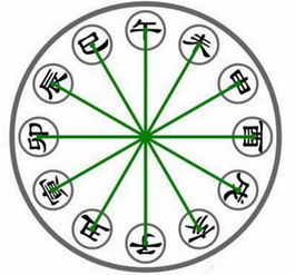 地支亥卯未三合七杀格局