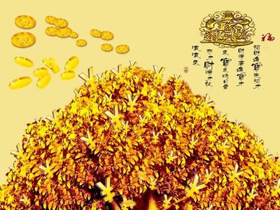 有没有开了财库没有用的