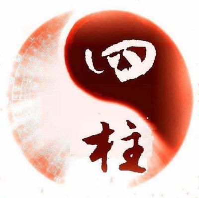 四柱八字称命