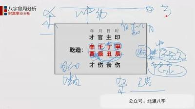 食伤八字什么意思