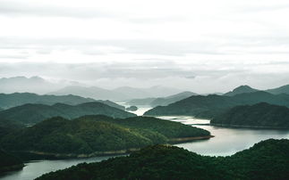 八字带华盖太极的人不能惹