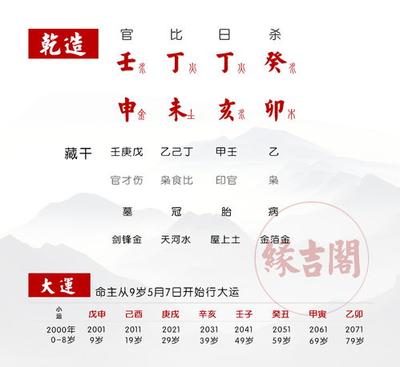 八字地支两个寅争合亥