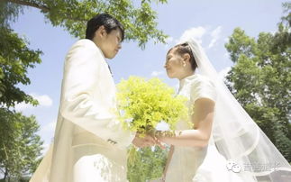 夫妻八字时支相合