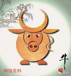八字里枭什么意思