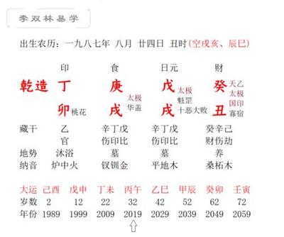 丁卯丁未壬申己酉八字如何