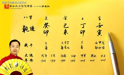 己亥丁卯乙巳八字身旺