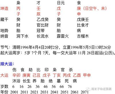 丙火生未月八字举例