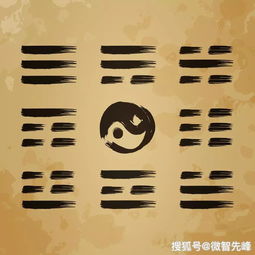 印星太旺表现什么信息