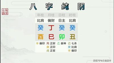 七杀命格八字纯阴是什么意思