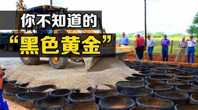 八字里的地势墓墓胎胎