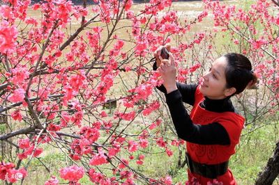 八字桃花方位怎么确定