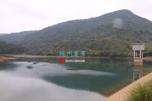 八字 辰看作水库还是土