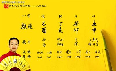 己未年癸酉月丁亥日辛亥时八字如何