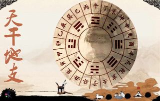八字身弱财旺娶什么样的女人
