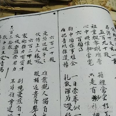 农历1982年11月27日出生是什么命