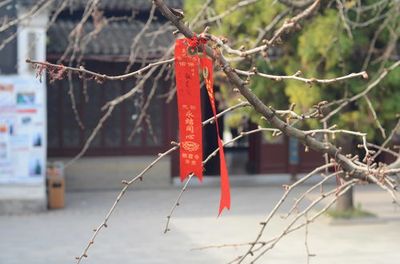 什么是正官坐正财的坐是什么意思