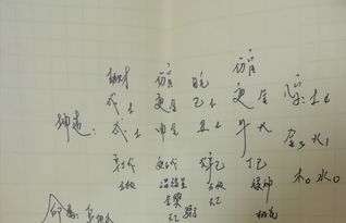 八字偏木的人