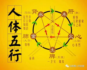 五行查询生辰八字怎么查询