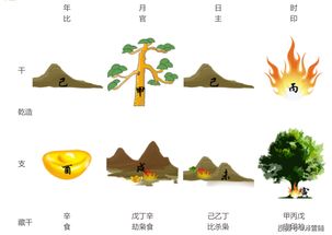 八字己土日元