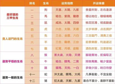 生肖运势和八字哪个准
