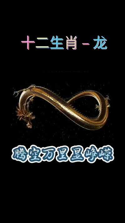 属马的和属龙的八字合吗