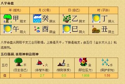 生辰八字用神参考什么意思