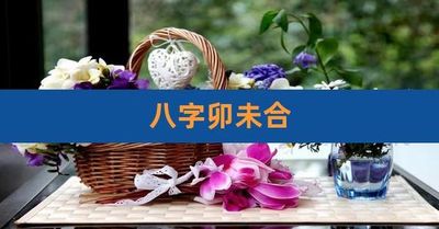 八字乙木见火漂亮