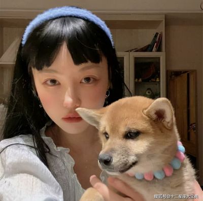 八字喜火的女 狗宝宝