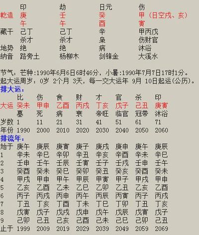 八字大运癸巳宫临宫