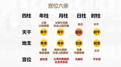 八字偏强化解