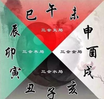 八字岁运天干争合