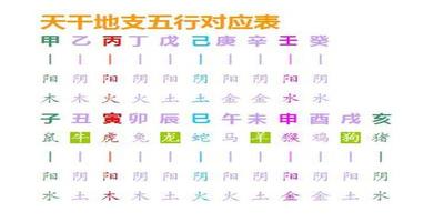 八字定格什么意思