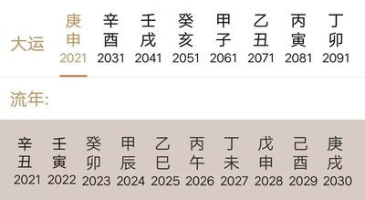丙申大运是火运还是金运