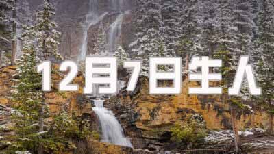 2024年12月7日出生的人